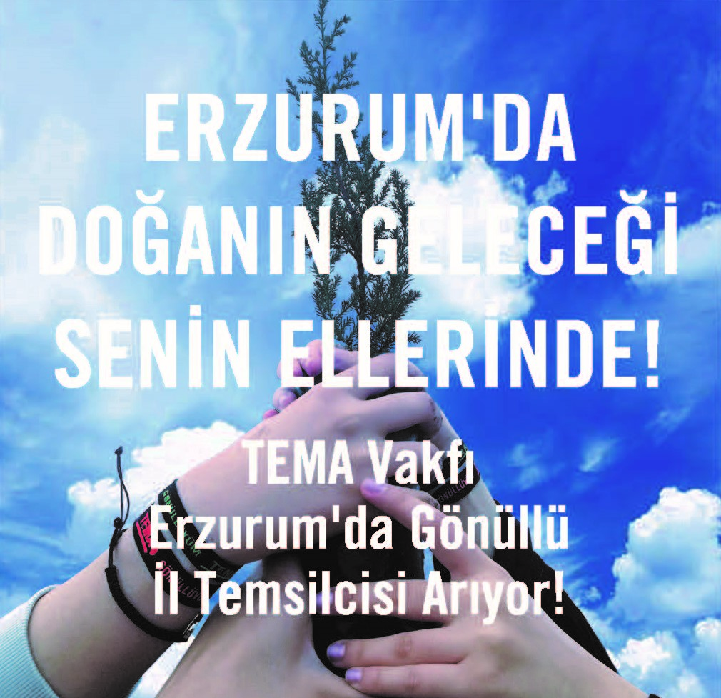 Fotoğraf 1