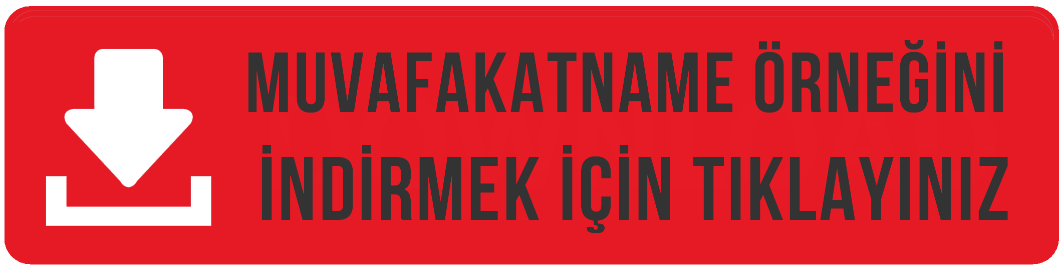 Fotoğraf 1