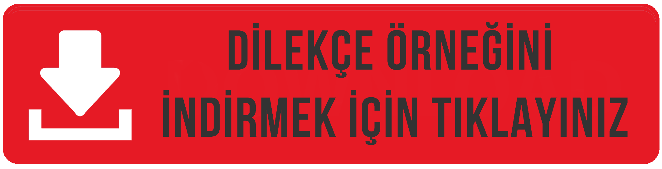 Fotoğraf 1