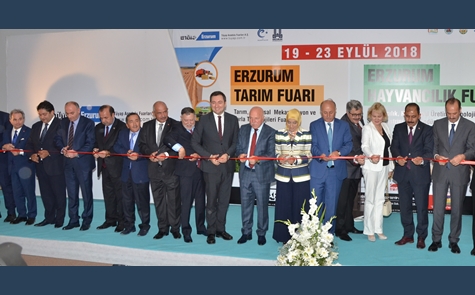 Fotoğraf 1